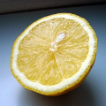 demi citron