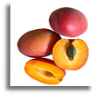 clafoutis aux abricots