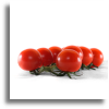 clafoutis aux tomates