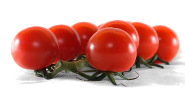 tomates cerises